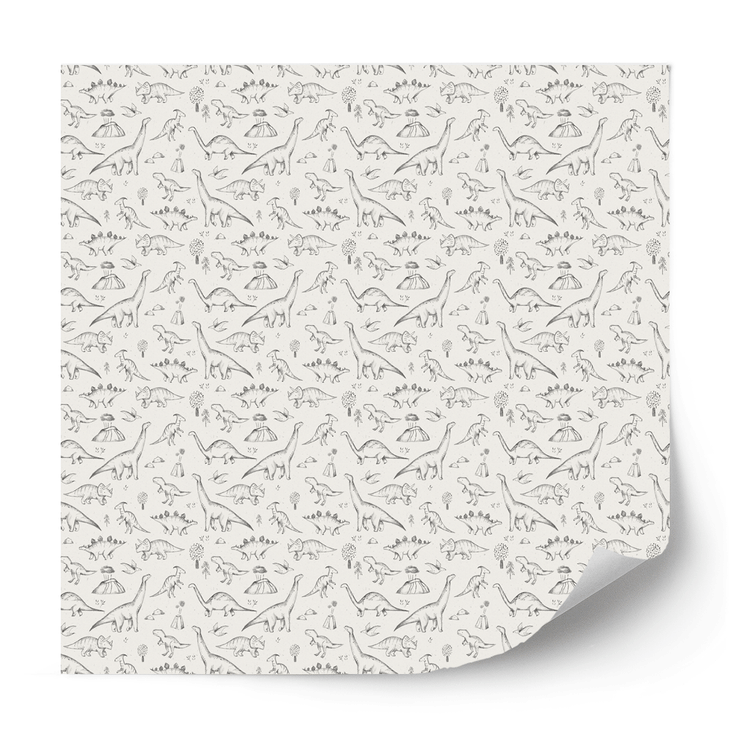 Furniture wrap - Dinosaurs