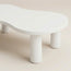 Organic Shape Kids Table
