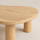 Organic Shape Kids Table