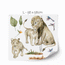 Jungle wall stickers -  Lions safari