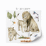 Jungle wall stickers -  Lions safari