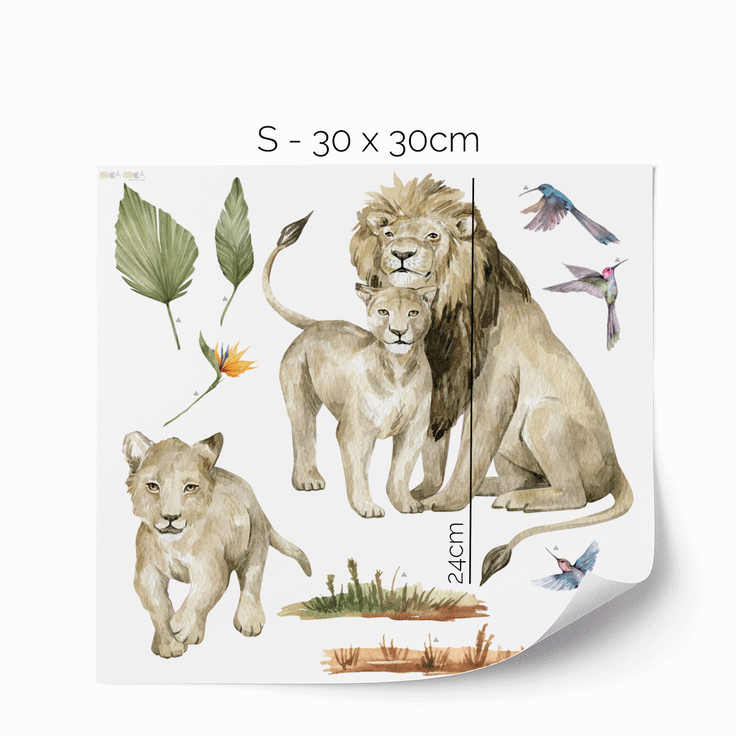 Jungle wall stickers -  Lions safari