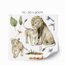 Jungle wall stickers -  Lions safari