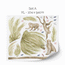 Wall stickers -  Palm trees safari
