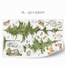 Wall stickers - Trees & forest animals
