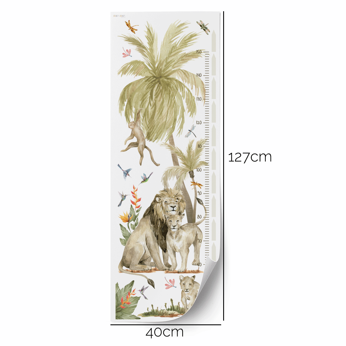 Height Lions chart