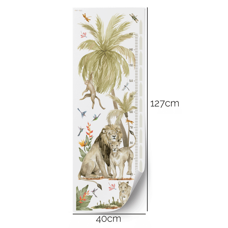 Height Lions chart