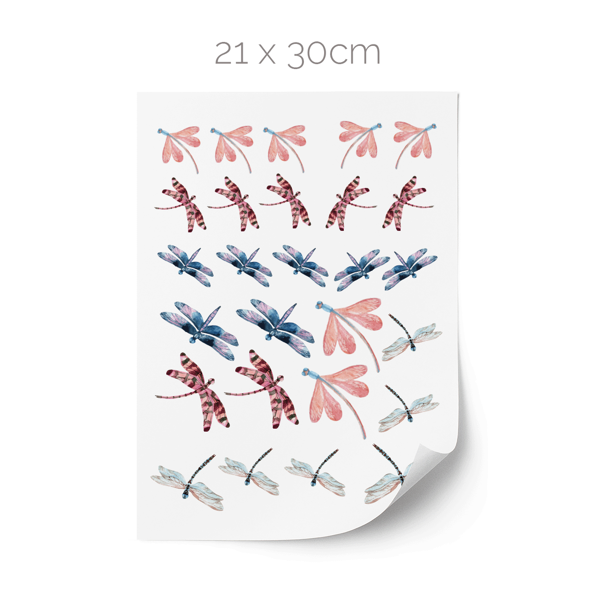 Dragonflies wall stickers