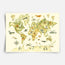 Watercolour world map - Fine Art Print