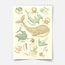 Under the sea print - Magical ocean - Sea Creatures