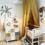 Jungle wall stickers -  Lions safari